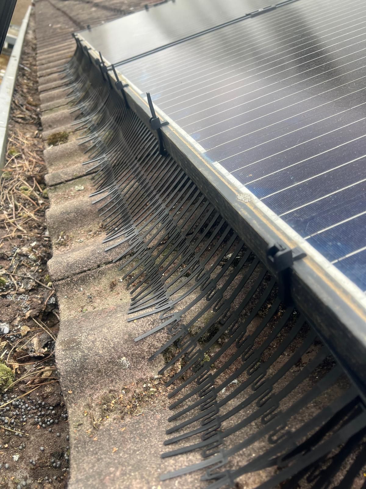 Dakdekker Andel, Daklekkage Andel, Dakwerken Andel, PDD Dakwerken